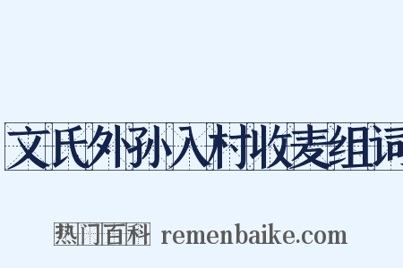 文氏外孙入村收麦组词是什么意思的图片